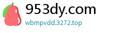 953dy.com
